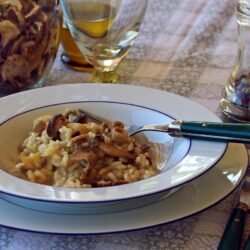 mushroom risotto recipe