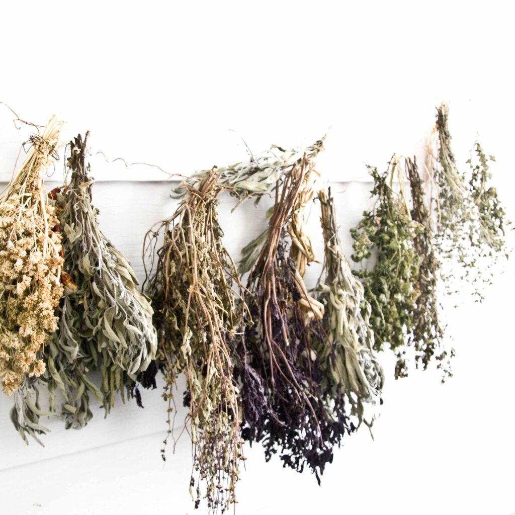 What Herbs Go With Beef?