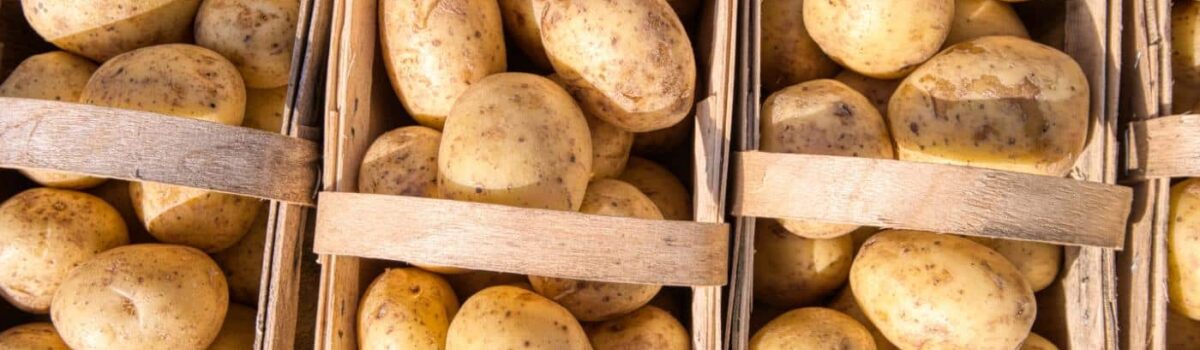 clean potatoes that are neatly packaged in a woven basket