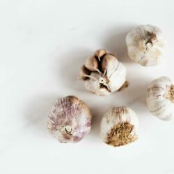 how to store garlic